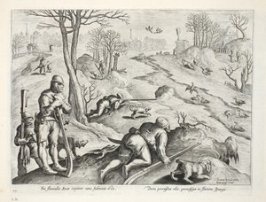 Eendenschieten, illustratie uit 